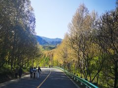 -玉渡山自然风景区