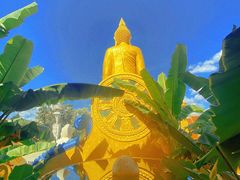 -曼听御花园