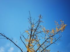 -唐城墙遗址公园