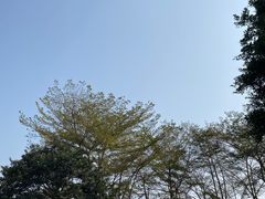 -碧水湾温泉