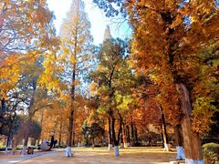 -虞山风景区