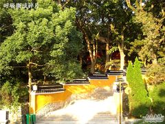 -普陀山风景名胜区-法雨禅寺