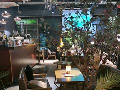 -咖法森林·咖啡  酒吧(天河店)