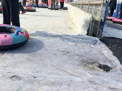 -沈阳奥体冰雪嘉年华