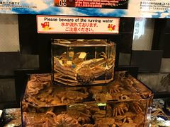 -蟹道乐(道顿堀本店)