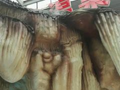 -御龙温泉度假村