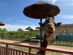 -鄂尔多斯野生动物园