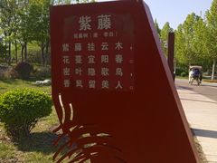 -武清南湖绿博园