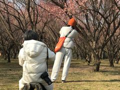 -蜀冈西峰生态公园