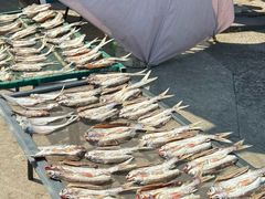 -东钱湖小普陀景区