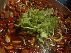 -华豫川酒家(大卫城店)