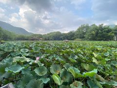 -兰亭风景区