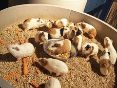 -常州海昌海洋探索馆