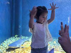 -海合安武汉极地海洋公园