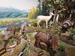 -陕西自然博物馆