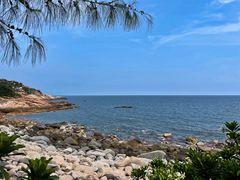 -广东惠东海龟国家级自然保护区