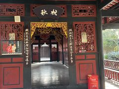 -桂湖森林公园