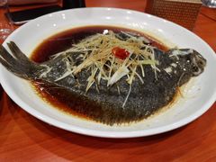清蒸多宝鱼-胶东海鲜大排档(北太平庄店)