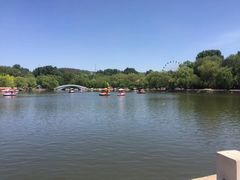 -二一九公园