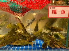 -徐家屯铁锅炖(宋家庄店)