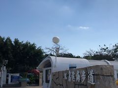 -椰风寨