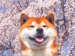 -汤里来温泉