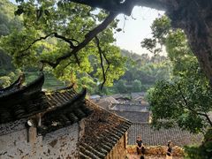 -杨家堂村