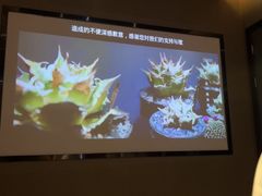 -上足·影院足道·SPA(红岭店)