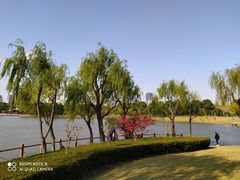 -黄兴公园