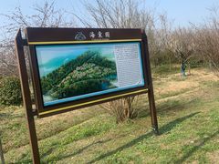 -南湖湿地公园