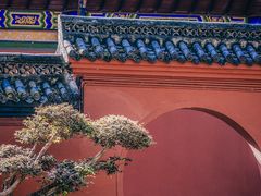 -丰都鬼城名山景区