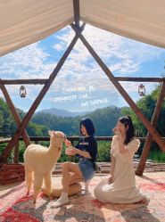 -花漾摄影优选工作室(东莞原创作品店)