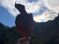 -白云源风景区
