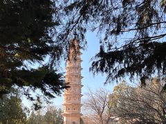 -崇圣寺三塔文化旅游区