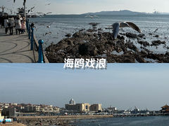 -栈桥景区