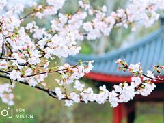 -堤角公园