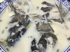 -全乐鱼馆·淳牌有机鱼直营店