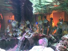 -沈阳海洋探索中心