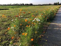 -汉长安城未央宫国家考古遗址公园