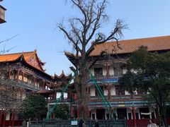 -章华寺