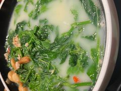 -羽鸽集·乳鸽专门店·地道顺德菜(岭南站店)