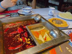 -龙森园火锅(琴台路店)