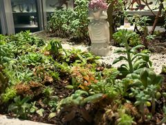 -春树下·树屋花房西餐厅(罍街AS1980店)