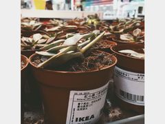 宜家家居-宜家家居(西安未央商场店)