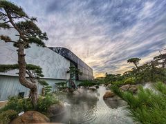 -罗红摄影艺术馆