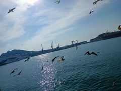 -海驴岛(荣成市)