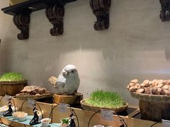 -雍和会海鲜姿造自助(湖东路店)