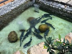 -耕渔小院·湖南鱼鲜(望城店)