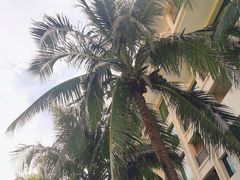 -惠州金海湾嘉华度假酒店