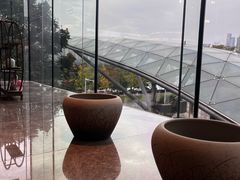 -桃花源中餐厅(金茂豪华精选酒店)